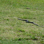 image01